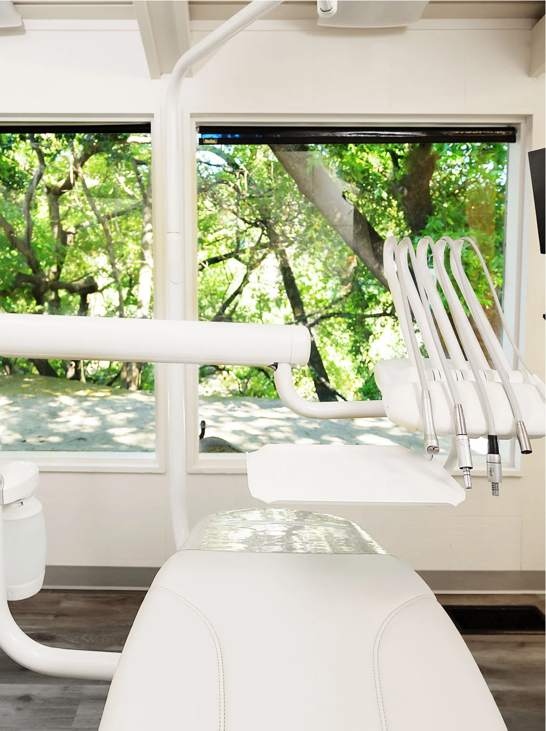 Patients have a fantastic view from the dental chair: sunlight-filled windows overlooking trees and nature